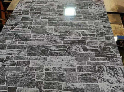 0.2mm Premium wydrukowane stalowe płyty dla przemysłu